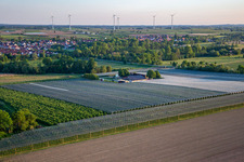 Gensheimer fruit and spagel farm in Steinweiler in the state Rhineland-Palatinate, Germany out of the air
