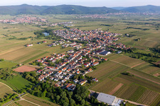 Oblique view of Village - view on the edge of agricultural fields and farmland in Kirrweiler (Pfalz) in the state Rhineland-Palatinate, Germany