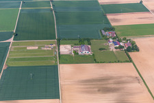 Rosenhof, Eichenhof in Ottersheim bei Landau in the state Rhineland-Palatinate, Germany