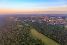 Clearing in the Bienwald forest with the Otterbach valley in the morning in Kandel in the state Rhineland-Palatinate, Germany