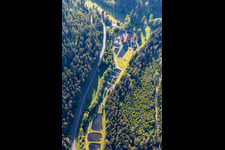 Shore areas of the ponds for fish farming on Mill channel of the Nagold in the district Voelmlesmuehle in Groembach in the state Baden-Wurttemberg, Germany