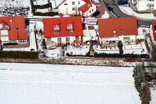 Hare catching in the snow in Freckenfeld in the state Rhineland-Palatinate, Germany