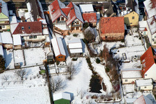 Gänsried in the snow in Freckenfeld in the state Rhineland-Palatinate, Germany