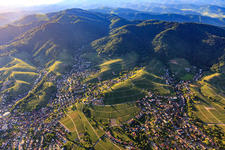 View of the town from the southwest, nestled among vineyards in the district Zell in Offenburg in the state Baden-Wuerttemberg, Germany