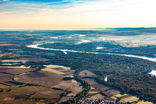 Rhine knee Alter Kopfgrund in the district Greffern in Rheinmünster in the state Baden-Wuerttemberg, Germany