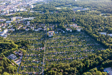 Hagsfelder Allee and Fasanengarten allotment association in the district Oststadt in Karlsruhe in the state Baden-Wuerttemberg, Germany