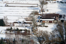Sheep farm in Kandel in the state Rhineland-Palatinate, Germany