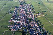 View of the winegrowing village between vineyards from the west in Roschbach in the state Rhineland-Palatinate, Germany