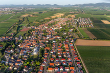 From the east in Essingen in the state Rhineland-Palatinate, Germany