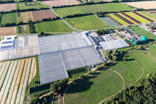 Rudolf Sinn Young Plants GmbH in Lustadt in the state Rhineland-Palatinate, Germany
