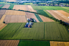 Aussiedlerhof am Höhenweg in Kandel in the state Rhineland-Palatinate, Germany