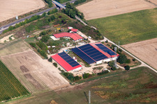 Aerial photograpy of Egg farm in Erlenbach bei Kandel in the state Rhineland-Palatinate, Germany