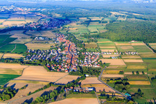 View of the village from the west, between Viehstrich and Bienwald in Freckenfeld in the state Rhineland-Palatinate, Germany