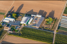 Aerial photograpy of Organic farmer Bauers Garden in Winden in the state Rhineland-Palatinate, Germany