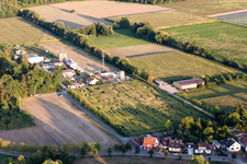 Maze - Labyrinth on a corn-field in Steinweiler in the state Rhineland-Palatinate, Germany from above