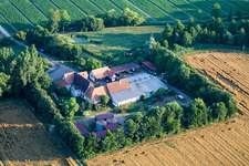 Drone image of At Erlenbach, Leistenmühle in Kandel in the state Rhineland-Palatinate, Germany