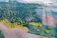 Forests in Chaouilley in the state Meurthe et Moselle, France