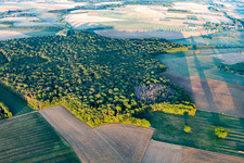Aerial view of Forests in Chaouilley in the state Meurthe et Moselle, France