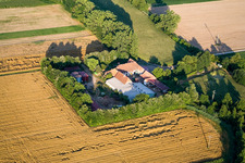 Aerial view of At Erlenbach, Leistenmühle in Kandel in the state Rhineland-Palatinate, Germany