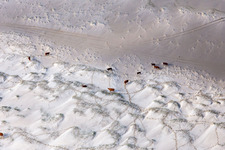 Aerial view of Beach landscape along the at the North Sea in Fanoe in Syddanmark, Denmark