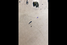 Buggies and kite surfers on the sandy beach in Fanø in the state South Denmark, Denmark from the plane