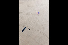 Bird's eye view of Buggies and kite surfers on the sandy beach in Fanø in the state South Denmark, Denmark