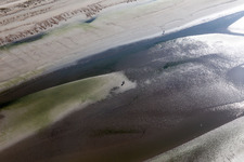 Aerial photograpy of West coast at low tide in Fanø in the state South Denmark, Denmark