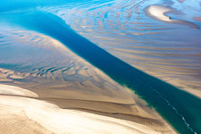 Aerial photograpy of Sea lions and harbor seals at the tidal creek to the sandbank Peter Meyers in Fanø in the state South Denmark, Denmark