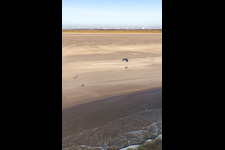 Fanoe Bath Beach in Fanø in the state South Denmark, Denmark