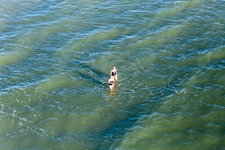 Drone image of Fanoe Bath Beach in Fanø in the state South Denmark, Denmark