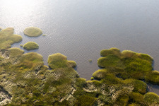 Wadden Sea National Park in Fanø in the state South Denmark, Denmark seen from a drone