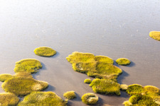 Aerial photograpy of Wadden Sea National Park in Fanø in the state South Denmark, Denmark