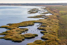 Wadden Sea coast at high water of the North Sea Coast in Fanoe in Syddanmark, Denmark
