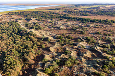 Wadden Sea National Park in Fanø in the state South Denmark, Denmark from a drone