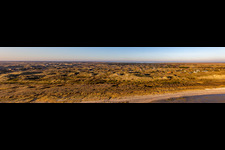 Dune panorama in Fanø in the state South Denmark, Denmark