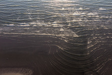 West beach at high tide in Fanø in the state South Denmark, Denmark