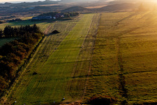 Aerial view of International Airport with Highland cattle in Fanø in the state South Denmark, Denmark