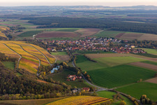 Aerial view of Vineyards Obervolkach in the district Obervolkach in Volkach in the state Bavaria, Germany