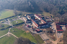 Aerial view of Stall Fried at the Liebfrauenberg Monastery in Bad Bergzabern in the state Rhineland-Palatinate, Germany