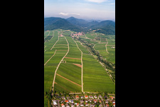 Birnbachtal from the east in Leinsweiler in the state Rhineland-Palatinate, Germany