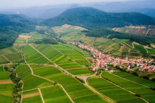 Fields of wine cultivation landscape in Ranschbach in the state Rhineland-Palatinate