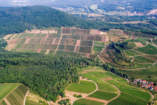 Aerial photograpy of Keschdebusch (Kastanienbusch) vineyard in Birkweiler in the state Rhineland-Palatinate, Germany