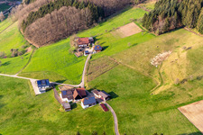 Haslach im Kinzigtal in the state Baden-Wuerttemberg, Germany from the plane