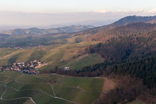 Ortenau wine region in the district Käfersberg in Ortenberg in the state Baden-Wuerttemberg, Germany