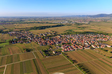 Aerial view of View from the north in Kirrweiler in the state Rhineland-Palatinate, Germany