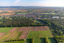 District Schaidt in Wörth am Rhein in the state Rhineland-Palatinate, Germany from the drone perspective