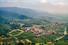 Wine-growing village from the south in Frankweiler in the state Rhineland-Palatinate, Germany