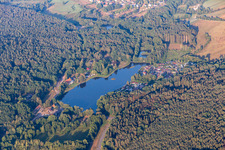 Saarbach Mill Pond in Ludwigswinkel in the state Rhineland-Palatinate, Germany