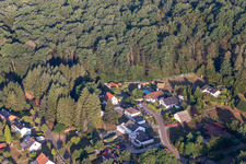 Rocky path in Ludwigswinkel in the state Rhineland-Palatinate, Germany