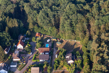 Aerial photograpy of Rocky path in Ludwigswinkel in the state Rhineland-Palatinate, Germany